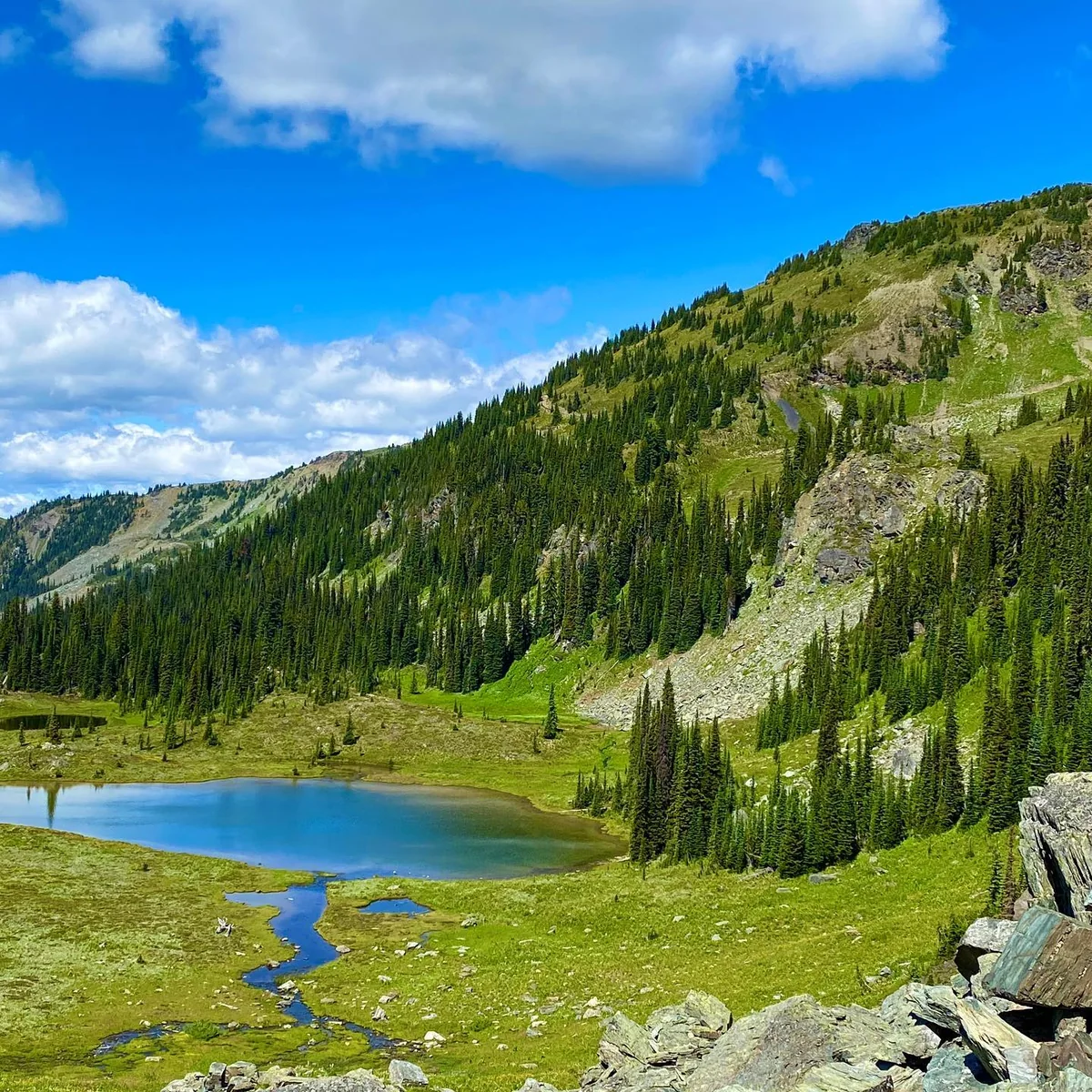 The tarn below the ridge — Rady Creek and the Foggy Day area near Trout Lake, British Columbia