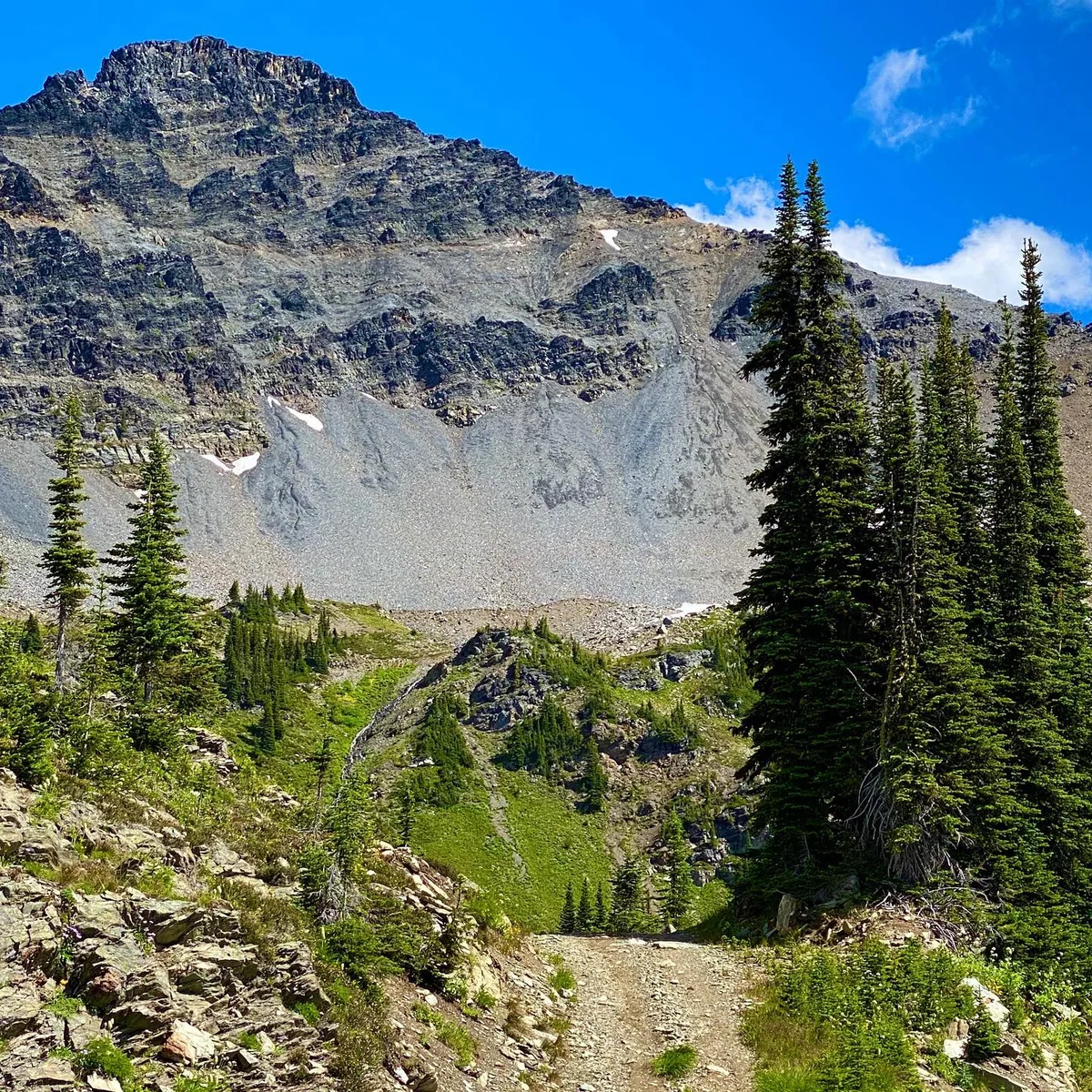 Below the scree bowl — Rady Creek and the Foggy Day area near Trout Lake, British Columbia