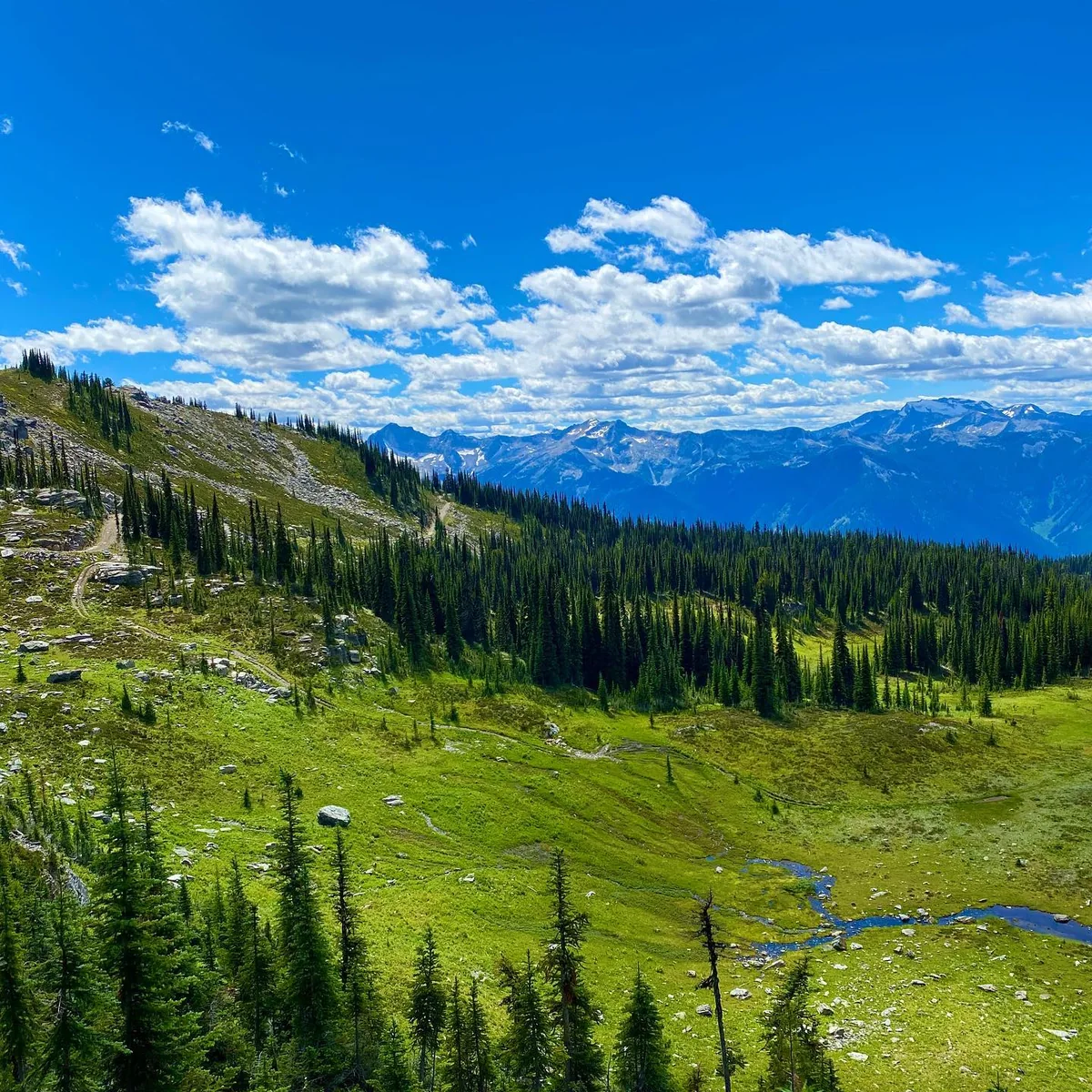 The bench traverse — Rady Creek and the Foggy Day area near Trout Lake, British Columbia