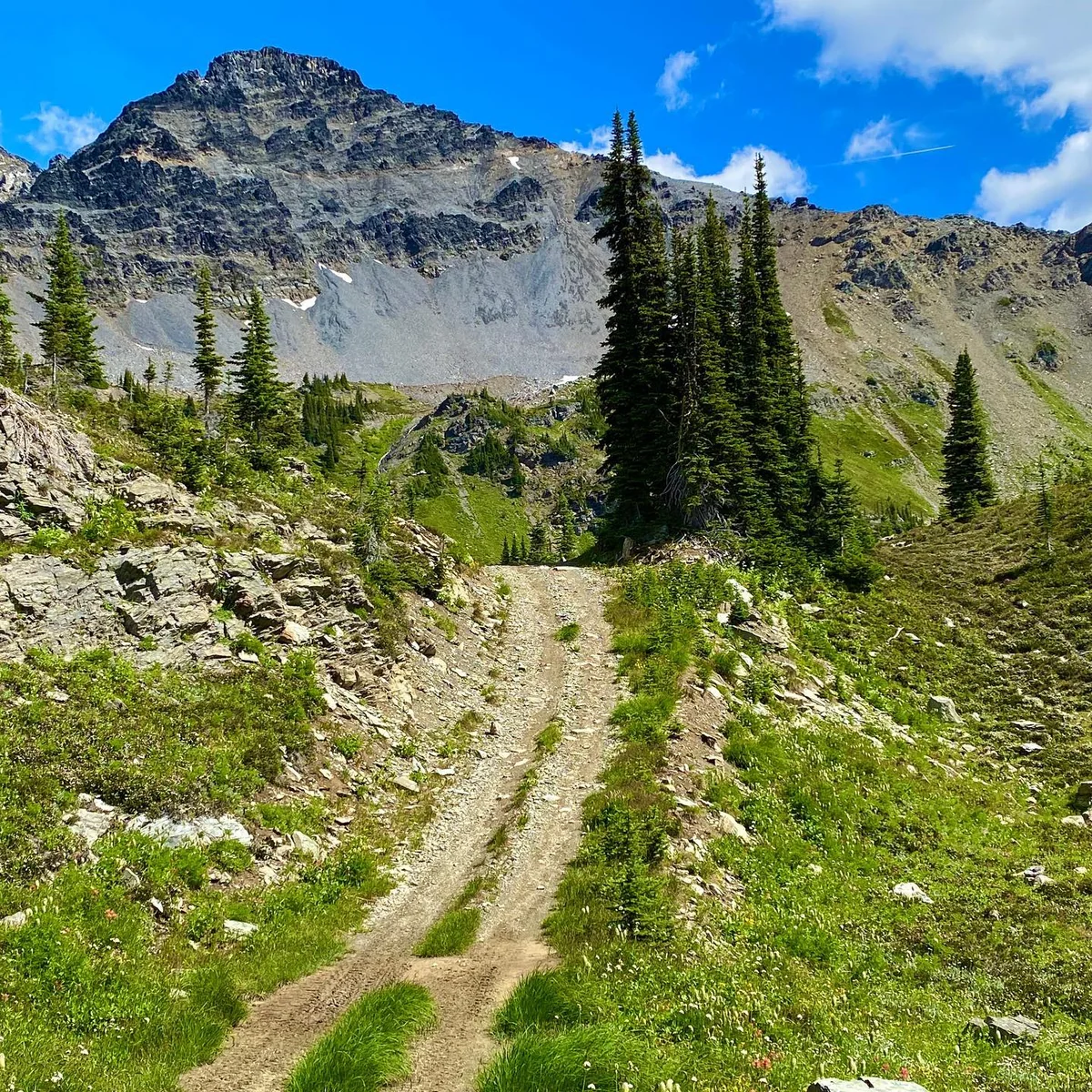 The road itself — Rady Creek and the Foggy Day area near Trout Lake, British Columbia