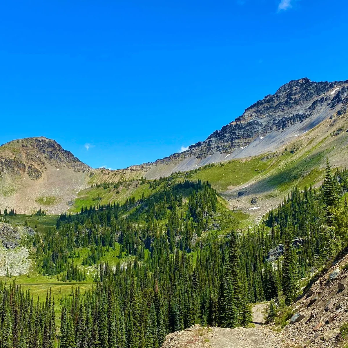 Rady Creek road bed — Rady Creek and the Foggy Day area near Trout Lake, British Columbia